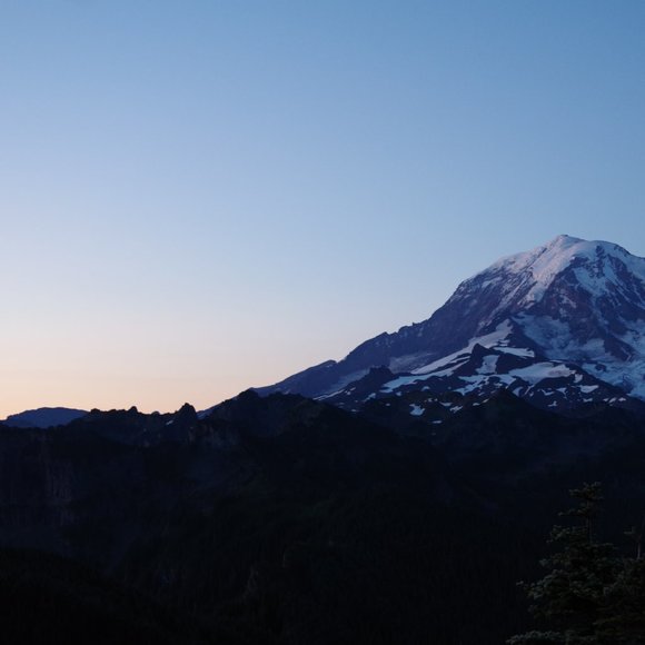 Meet your Posher, Richie - Picture 1 of 1